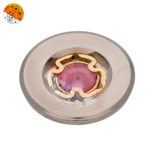 Eta 2824-2 #3024 Shock-Absorber Balance Nivachoc-B